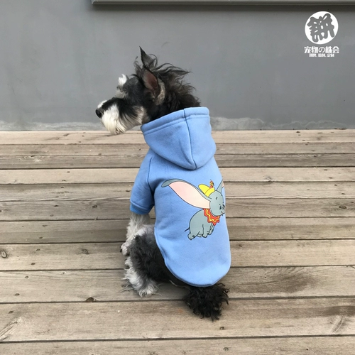 Летающий слон, демисезонный пуховик, утепленная толстовка, домашний питомец, осенний сезон, панда, кот