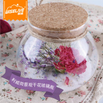 Liwei Yongshenghua DIY with lamp creative transparent spherical dried flower Cork bamboo lid with lid glass bottle sealed jar