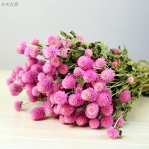 Natural thousand-day red dried flowers Real flowers Air-dried natural net red flowers bouquet ins dried flowers Home decoration with vase set