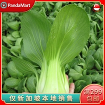 (YummyHunter-Chinese cabbage)Fresh vegetables vegetables about 250g Singapore local delivery