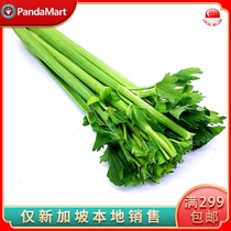 (YummyHunter-Celery)Fresh vegetable greens about 250g Singapore local delivery