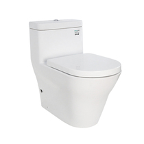 TOTO CW166B toilet
