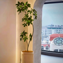 Big-leaf umbrella simulation green plant indoor living room decoration high-end light luxury wind bionic potted tree large-scale floor-to-ceiling fake plant