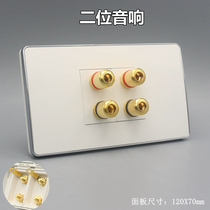 Two-position speaker socket panel 120 type audio socket wall panel multimedia audio socket