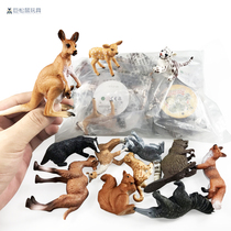 Small childrens toys wildlife kindergarten early education cognitive model simulation fox squirrel camel Wallaby
