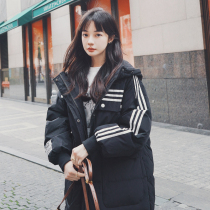 Fashionable knee down cotton clothes women 2021 design sense niche winter cotton-padded jacket Korean version of popular bread clothes