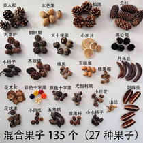 Natural fruit acorn pine cone kindergarten environmental creation material package shooting props handmade diy fruit 27 kinds 135