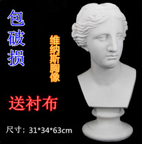 Gypsum teaching aids Venus plaster Masket Dural plaster portrait art supplies sketch set ornaments
