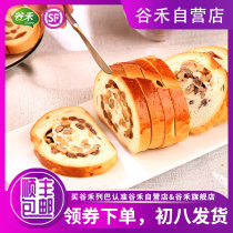 Polo Jinuo 1 6kg★Gu He Leba Russian Bread Authentic Walnut Raisin Nut Snacks