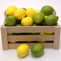 Simulation fruit fake fruit model photography props cabinet decoration preschool education teaching equipment simulation yellow lemon