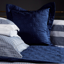 Wide Court Imported Eurostyle Square Large Back Cushion Cover Briefing Cotton 65X65CM Back Cushion Cover Superior-without core