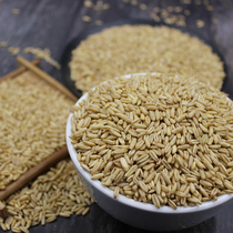 Baomao oat rice Farm germ oat rice Bulk naked oat raw oat kernels Whole grains whole grains 500g