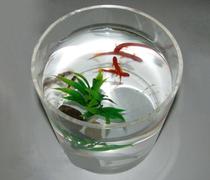 Customizable cylinder can be sealed back acrylic cylindrical barrel high transparent plexiglass plexiglass processing
