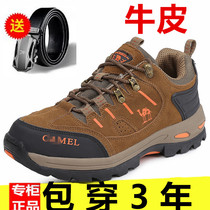 Dapingshan Camel Spring and Autumn mens hiking shoes outdoor casual hiking shoes womens leather breathable non-slip waterproof shoes