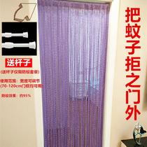 Silver silk curtain home encrypted anti-mosquito curtain screen door sand door hanging curtain living room partition curtain porch decorative curtain