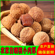 Guangxi Guiping native authentic premium farm self-drying fresh lychee dry soft waxy sweet core small meat thickness 350g