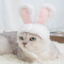  Net celebrity cat hat Pet cute rabbit ear headgear Small dog headdress Dog Christmas Elk funny jewelry