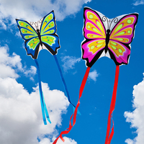 Weifang Hongyun Kite Children Cartoon Kite New Couple Butterfly Red Blue Butterfly Rainbow Colorful Kite Wheel
