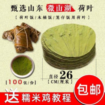 Weishan Lake whole round lotus leaf 26CM lotus leaf rice lotus leaf tea glutinous rice chicken steamer barrel rice 100 pieces package