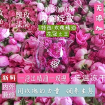 Aomeiwo 21-year fixed low temperature lyophilized Damascus Double-petal Rose Camellia crown Van Dom Rose