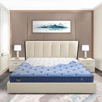 Yalan Mattress One Product Jiangshan National Treasure Joint Limited Latex Soft and Hard Moderate Mute Spring Mattress
