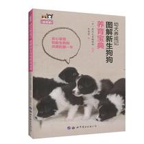 Genuine RT Puppy Development Notes (Illustrated New Dog Raising Book) Shanghai World Book Publishing Company 9787519271336