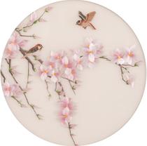 Su embroidery pure hand-made self-embroidered diy beginner kit material magnolia flower and bird living room hanging painting to send needle method tutorial