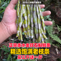 (Buy three get one) authentic Guizhou Chishui Golden Dendrobium Nobile Town 4 years fresh Old 500 grams bitter taste