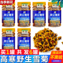 Premium Kunlun snow chrysanthemum Xinjiang Mount Kunlun specialty wild iceberg flower tea Fetal Chrysanthemum Tianshan blood Chrysanthemum tea Tibet