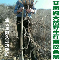 The Hometown of Chinese Red Qi Pure Natural Chinese Medicinal Materials Wild Red Qi Tablets 500 Kt Grade Sulfur-free Moxibustion Powder