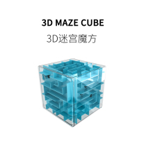 FUN HO New 3D three-dimensional maze ball resistant version of the brain challenge training ball balance Rubiks cube toy