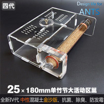25×180mm large activity area Bionic bamboo test tube concrete acrylic professional ant nest villa ranch square