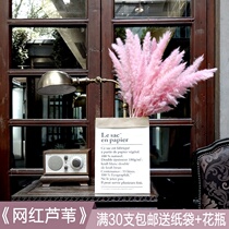 Kraft paper bag dried flower bouquet Net red Reed dried flower pink Reed flower big spike decorative flower arrangement