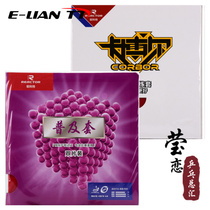 Yinglian Ruikote Cabol popular rubber set table tennis rubber racket reverse glue set glue beginner training set
