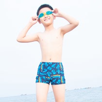 Sanqi childrens bathing suit boy middle and large childrens baby boxer swimming trunks new hot spring bath cute quick-drying swimsuit
