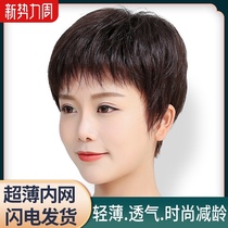 Wig womens short hair summer natural net celebrity fashion real hair full headgear short straight hair middle-aged and elderly mother style