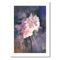 (1 Yuan to shoot) meritocratic cure (cherry blossom dream 1) International watercolor painter Zhang Yi to sign up for a limited edition painting