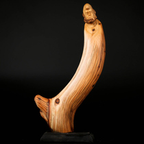 High about 24cm Cliff at the height of the Pendulum Tiger Leather