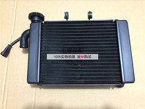 Seven-star motorcycle is suitable for Blue Dragon BJ300 BN302 TNT302 water tank fan assembly