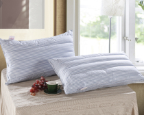 Beijing Yingxing Family Spinning Season Healthy Pillow Pure Buckwheat Dual-use Pillow Five Stars Hotel Bifacial Pillow Core Material