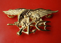 Beauty Metal Badge American Seal Commando Badge Big Chest Badge Gold