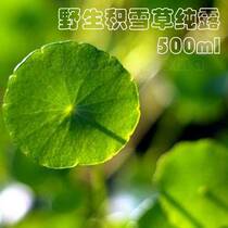 Natural wild saturated Centella asiatica pure Dew 500ml acne closed mouth Acne Repair soothing blackhead pore hydration