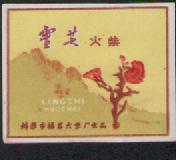 Old Match Trademark Sparks Collection Bengbu Fuchang Match Factory Ganoderma Labelling a 517#