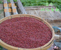 Farmhouse self-produced red adzuki beans new goods authentic natural red beans grains non-Northeast red adzuki beans 500 grams