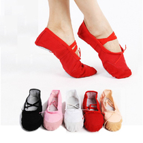 Special canvas two-soled dance shoes Yoga practice soft bar performance cat claw shoes Hard-soled dance practice shoes