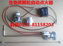 Hot sale diesel igniter biological particle burner automatic igniter biomass boiler high energy igniter