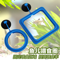Feed feeding ring fish feeding ring aquarium fish food fish feeding ring feeder