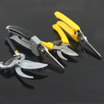 Flower scissors scissors twigs tree pruning shears garden scissors Fruit tree pruning shears garden scissors picking fruit shears