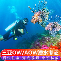 Sanya Diving certificate certification training ow aow dsd licensed fd diving Free diving underwater photography Hainan padi