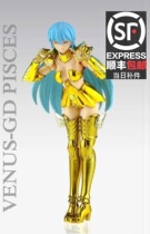 GT Holy Contract Sacred Female version Gold Fighter Pisces Venus GT Saint Fighter Womens double fish Brand new Saint